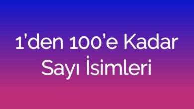 1’den 100’e Kadar Sayı İsimleri