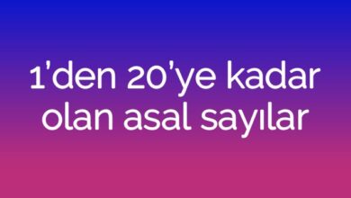 1’den 20’ye kadar olan asal sayılar