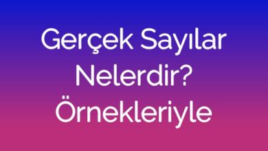 Gerçek Sayılar Nelerdir? Örnekleriyle