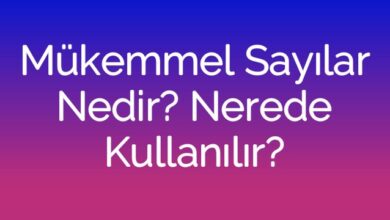 Mükemmel Sayılar Nedir? Nerede Kullanılır?